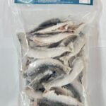 TanY's Delight Frozen Needle Squid Whole 1kg